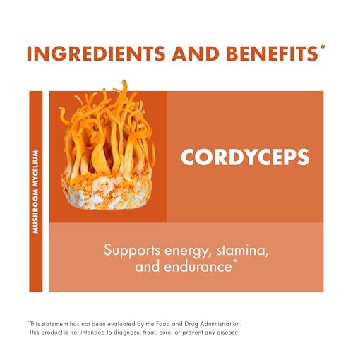 Host Defense Cordyceps Liquid Extract for Energy & Vitality, 30ml