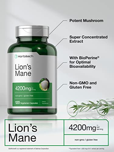 Horbäach Lion's Mane Mushroom Extract - 4200mg, 120 Capsules