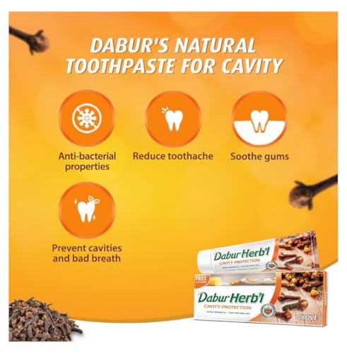 Dabur Herbal Clove Toothpaste for Cavity Protection & Strong Teeth (150g + Toothbrush)