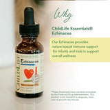 ChildLife Essentials Echinacea - Natural Orange Flavor Immune Support for Kids | 1 Fl Oz