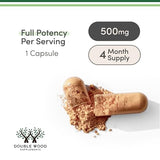 Rhodiola Rosea Supplement 500mg (120 Vegan Capsules) - Natural Stress Support by Double Wood