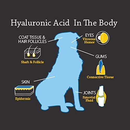 Hyalogic HyaFlex Hyaluronic Acid for Dogs - Joint & Mobility Support - 1 oz (30 ml)