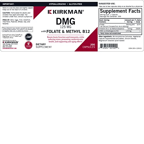 Kirkman DMG with Folinic Acid & Methyl B-12 - Hypoallergenic Immune and Neurological Support