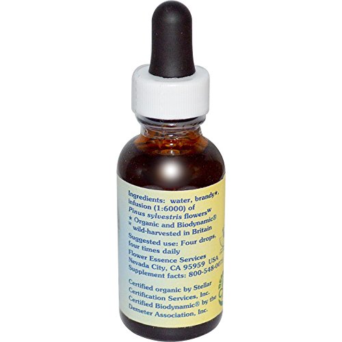 Healing Herbs Pine Flower Essence Dropper - 1 fl oz for Forgiveness & Guilt Relief