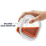 BOROSIL KLIP-N-STORE 520ML Square Glass Food Storage Container with Airtight Lid