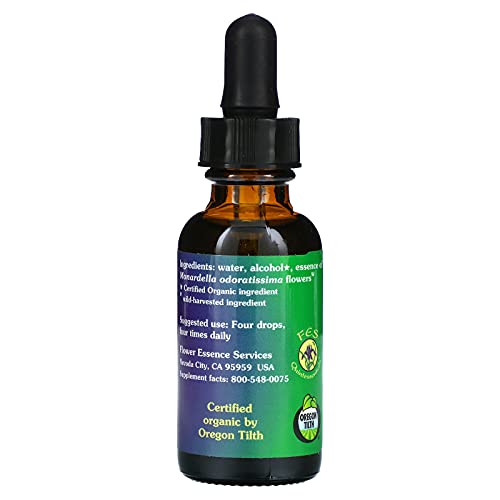 Mountain Pennyroyal Flower Essence - 1 fl oz for Protection & Mental Clarity