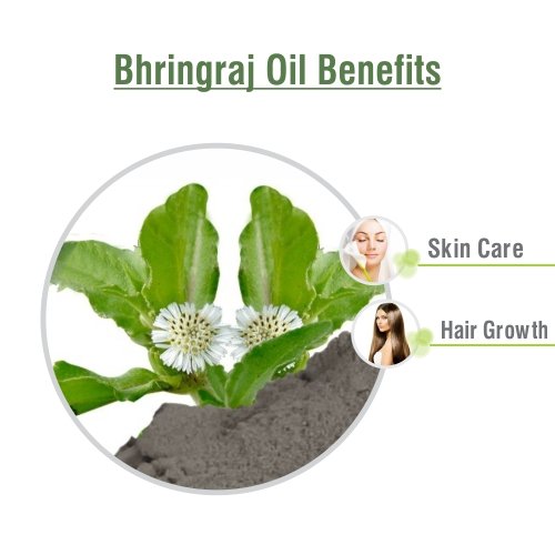 Salvia Bhringraj Oil - 100% Pure & Natural (30ML)
