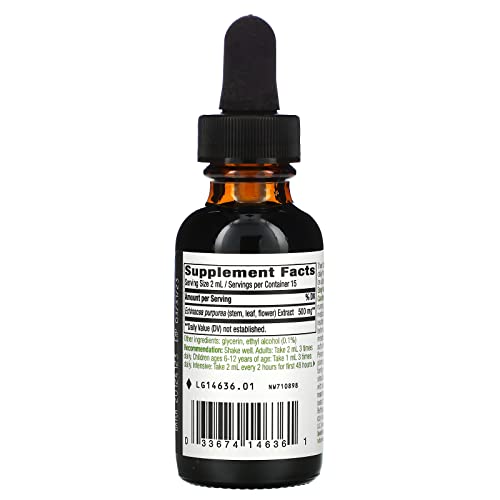 Nature's Way Echinacea - Alcohol-Free Liquid Extract - 1 fl. oz (30ml) - Immune Support