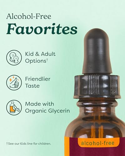 Herb Pharm Kids Certified-Organic Alcohol-Free Immune Fortifier - 1 Ounce Liquid Herbal Formula