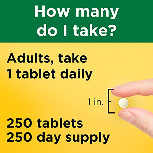 Nature Made Folic Acid 400 mcg (665 mcg DFE) - Nervous System Support - 250 Tablets - 250 Day Supply