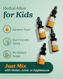 Herb Pharm Kids Certified-Organic Alcohol-Free Immune Fortifier - 1 Ounce Liquid Herbal Formula