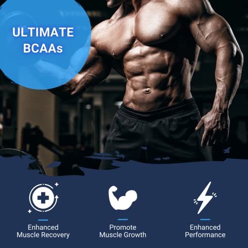 Gaspari Nutrition BCAA 6000 Powder for Muscle Recovery (240g)