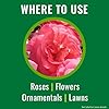 Bayer Advanced Rose & Flower Insect, Disease & Mite Control - 24 oz