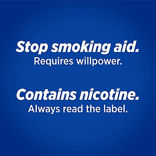 Nicotinell 2mg Nicotine Lozenge - Sugar-Free Mint Stop Smoking Aid (204 Pieces)