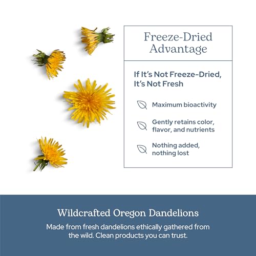 Eclectic Institute Raw Freeze-Dried Dandelion Leaf Supplement - Organic Digestive & Detox Support - 90 Capsules