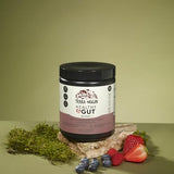 TERRA ORIGIN Healthy Gut Berry - Supports Digestion & Gut Health with L-Glutamine, Zinc & Herbal Extracts