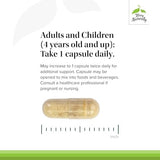 Propolis Extract - Natural Immune Support (60 Capsules)