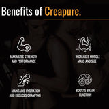 Creapure Creatine Monohydrate - 300g Unflavored Powder for Strength & Performance