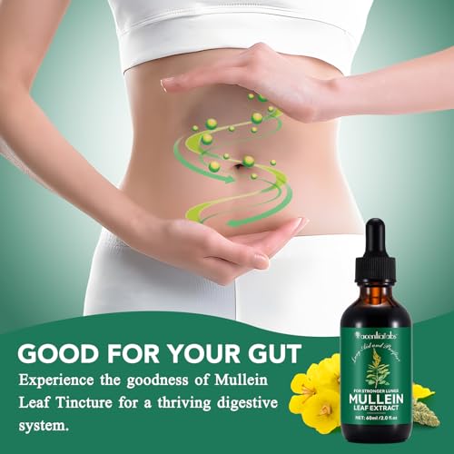 Organic Mullein Leaf Drops for Lung Health - 2 fl Oz (60ml) | Supports Breathing & Lung Cleanse