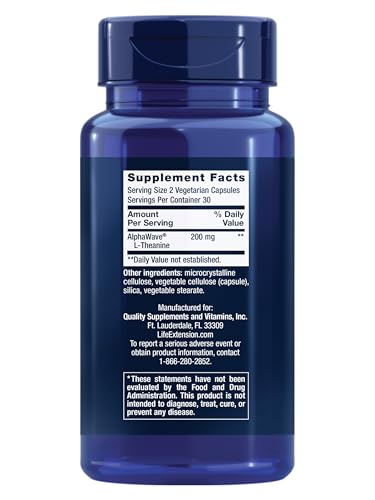 L-Theanine Supplement - 100 mg, 60 Vegetarian Capsules