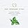 Avalon - Organics Gel Cream Moisturizer with Vitamin C- 1.7 Oz