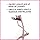 Wet n Wild High On Lash Eyelash Curler with Comfort Grip