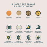 Daily Fiber Organic Prebiotic Digestive Fiber Pina Colada - 30 Servings Gut Health