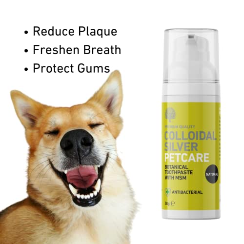 Nature's Greatest Secret All Natural Antibacterial Colloidal Silver Pet Dental Toothpaste for Dogs - 50g