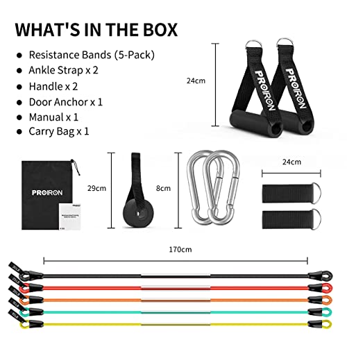 PROIRON 14-Piece Anti-Snap Resistance Bands Set with Handles & Accessories