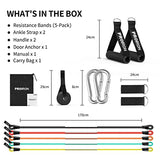 PROIRON 14-Piece Anti-Snap Resistance Bands Set with Handles & Accessories