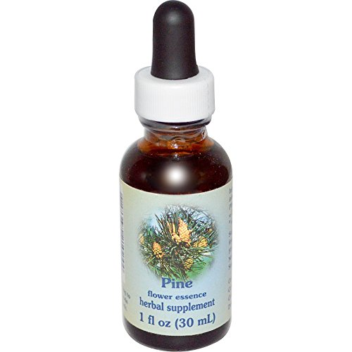 Healing Herbs Pine Flower Essence Dropper - 1 fl oz for Forgiveness & Guilt Relief