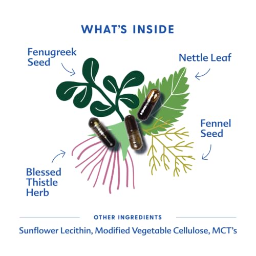 Motherlove More Milk Plus - Herbal Lactation Support Capsules (120 Count)