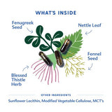 Motherlove More Milk Plus - Herbal Lactation Support Capsules (120 Count)