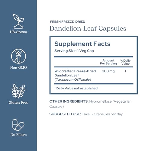 Eclectic Institute Raw Freeze-Dried Dandelion Leaf Supplement - Organic Digestive & Detox Support - 90 Capsules