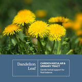 Eclectic Institute Raw Freeze-Dried Dandelion Leaf Supplement - Organic Digestive & Detox Support - 90 Capsules