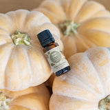 Edens Garden Friends and Family Limited Edition Holiday Essential Oil Synergy Blend – 100% Pure Therapeutic Grade Aromatherapy, 10 ml