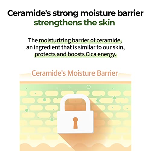 numbuzin No.2 Cica Ceramide Repair Cream – Soothing & Barrier Repair Korean Skincare