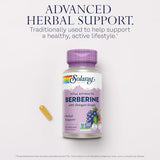 Solaray Berberine Root Extract - 60 Vegan Capsules