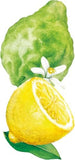 Weleda Citrus Bergamot Deodorant: Naturally Effective & Refreshing