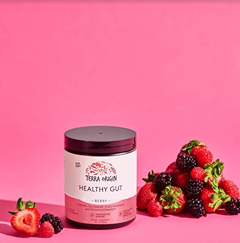 TERRA ORIGIN Healthy Gut Berry - Supports Digestion & Gut Health with L-Glutamine, Zinc & Herbal Extracts