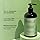 Mielle Organic Rosemary Peppermint Strengthening Shampoo, Sulfate & Paraben Free, 12 Ounce