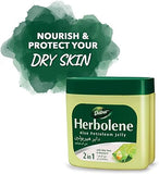 Dabur Herbolene Aloe Petroleum Jelly with Aloe Vera & Vitamin E (425ml)