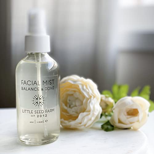 Little Seed Farm Balancing Facial Mist & Toner - Witch Hazel Toner for Pore Minimizing, 4.0 Ounce
