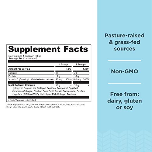 Ancient Nutrition Multi Collagen Protein Powder by Dr. Axe (Chocolate, 525g)