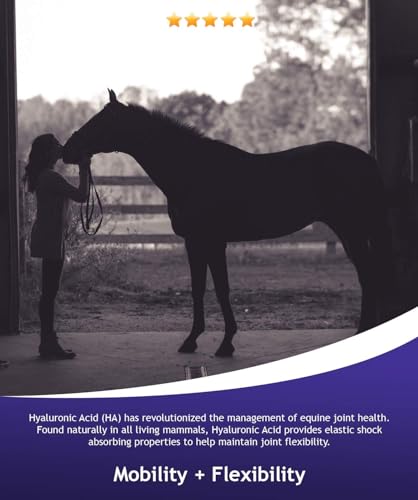 Hyalogic Hyaluronic Acid Equine Joint Supplement for Horses (Oral Syringe)