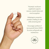 Swanson Full Spec Lion's Mane Mushroom 60 Capsules .