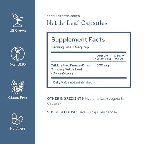 Eclectic Institute Raw Freeze-Dried Nettle Leaf Supplement - Sinus Support, Histamine Response & Respiratory Wellness - 90 Capsules