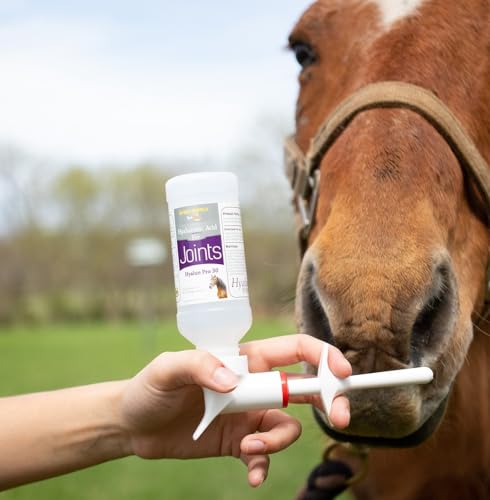 Hyalogic Equine Hyaluronic Acid (HA) Joint & Cartilage Supplement for Horses