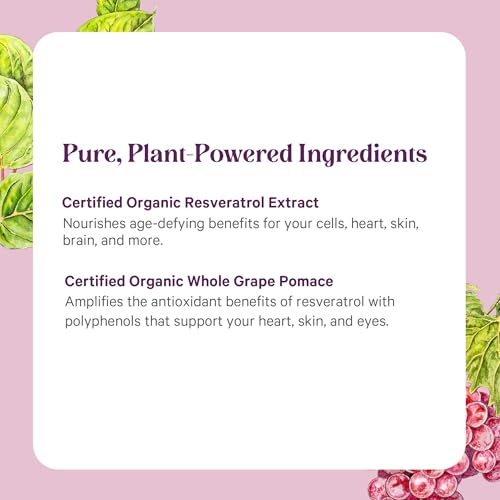 PURE SYNERGY Super Pure Resveratrol Extract | Organic Trans-Resveratrol for Healthy Aging