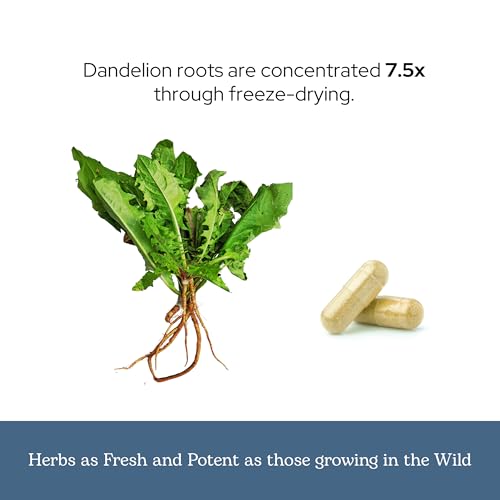 Eclectic Institute Dandelion Root Capsules 90 Count - Liver & Digestive Support